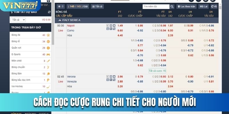 Cách đọc cược rung chi tiết cho người mới